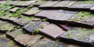 Cemlyn roof repair costs